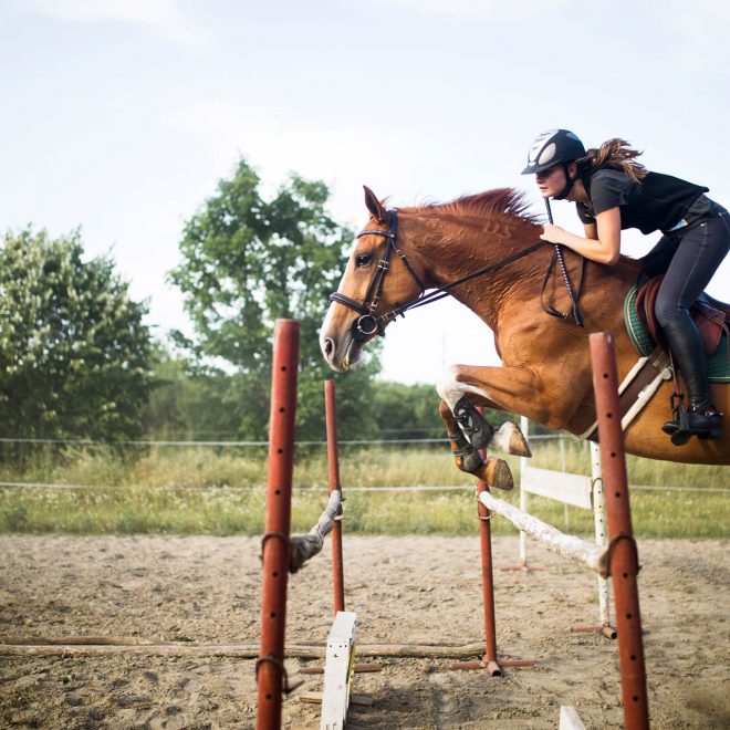 female-jockey-on-horse-leaping-over-hurdle-XJR6CZT