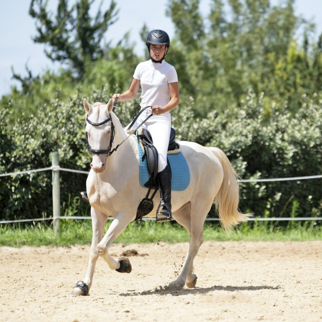 riding-girl-and-horse-1