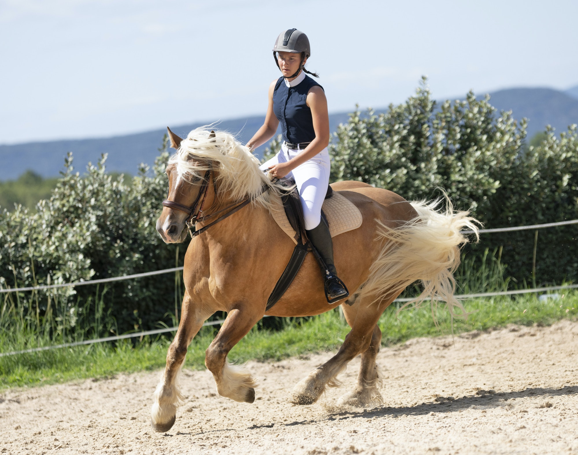 riding-girl-and-horse-2