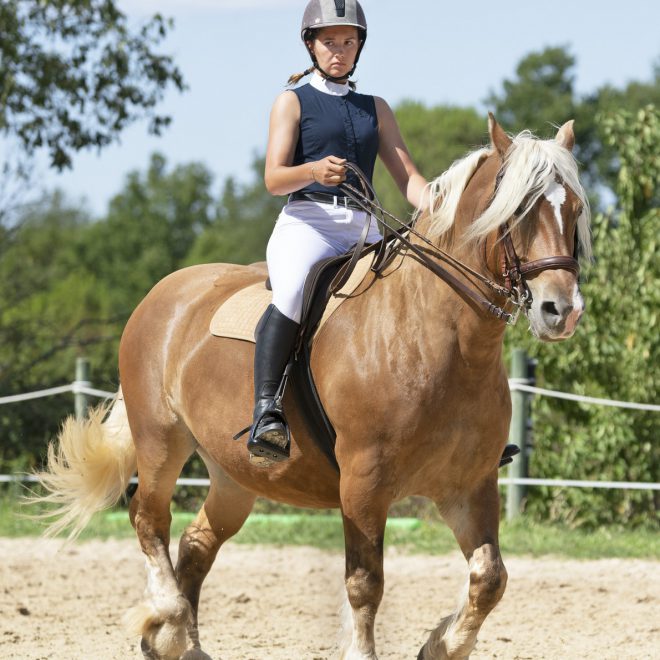riding-girl-and-horse-3
