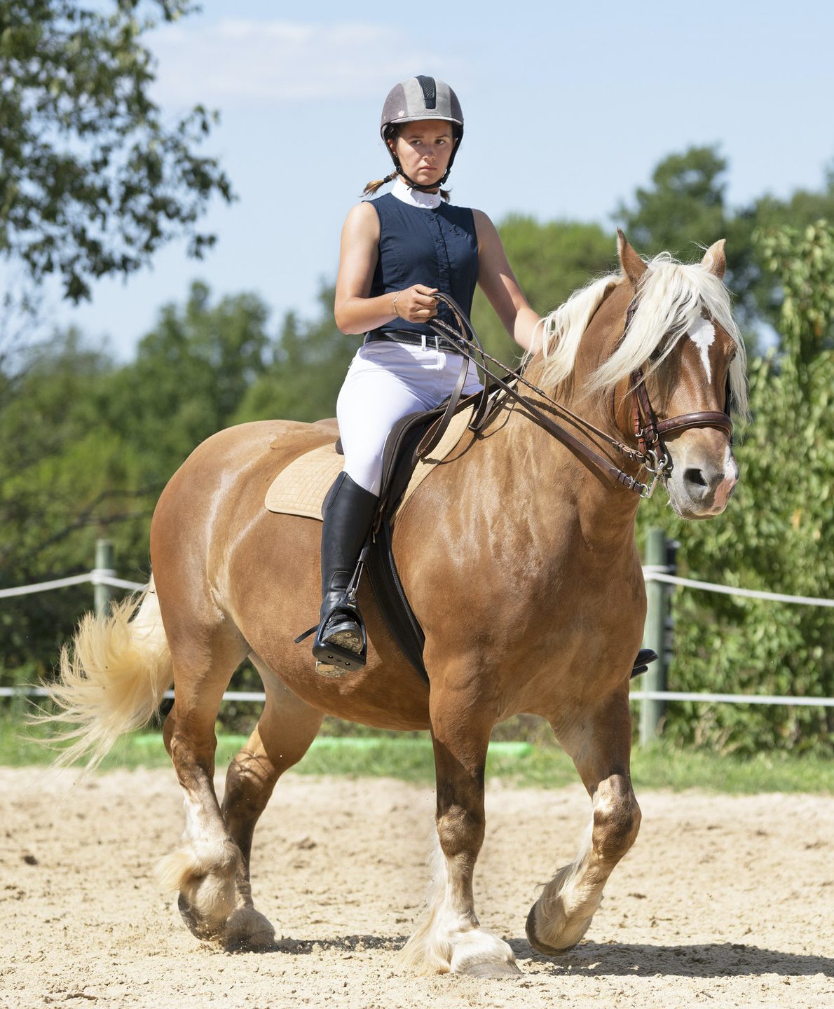 riding-girl-and-horse-3